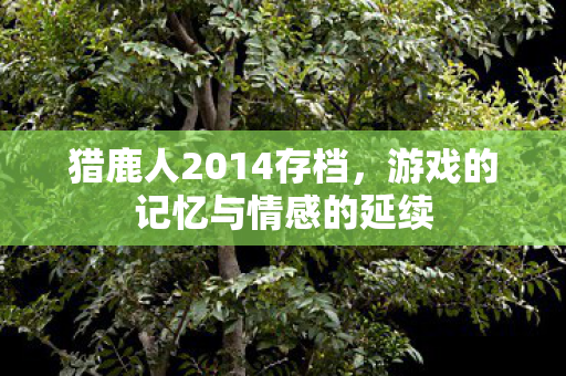 游戏的记忆与情感的延续图片
