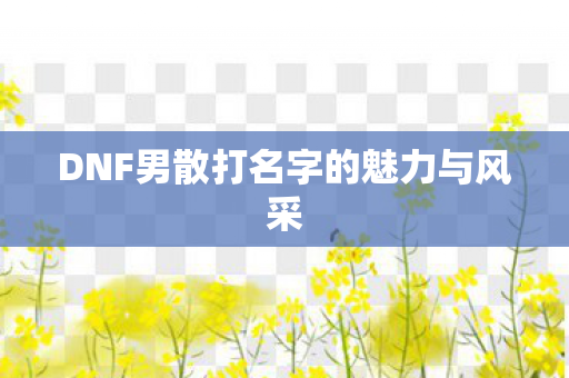 DNF男散打名字的魅力与风采图片