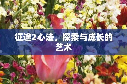 探索与成长的艺术图片
