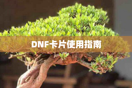 DNF卡片使用指南图片