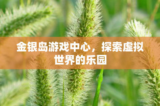 探索虚拟世界的乐园图片