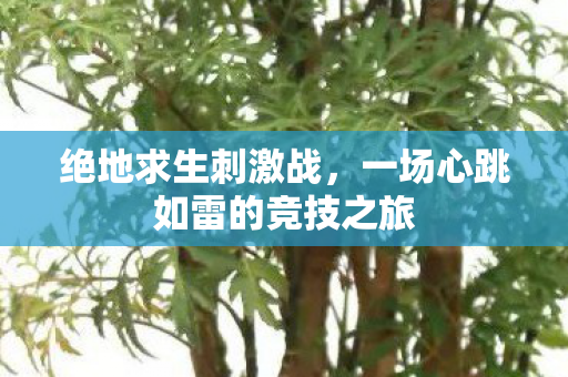 一场心跳如雷的竞技之旅图片