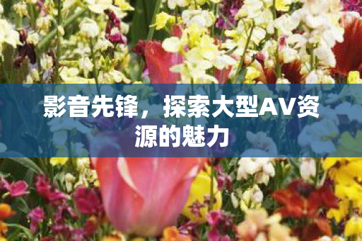 探索大型AV资源的魅力图片