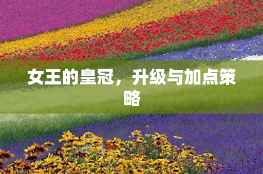 升级与加点策略图片