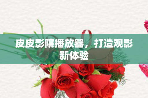 皮皮影院播放器图片