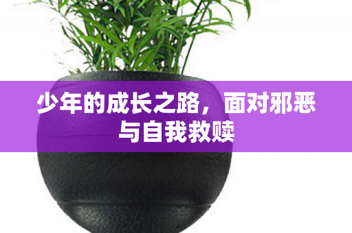 面对邪恶与自我救赎图片