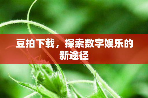 探索数字娱乐的新途径图片