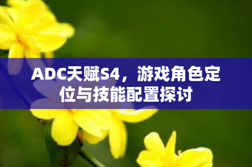游戏角色定位与技能配置探讨图片