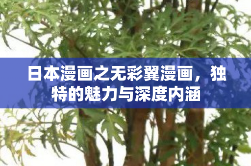 日本漫画之无彩翼漫画图片