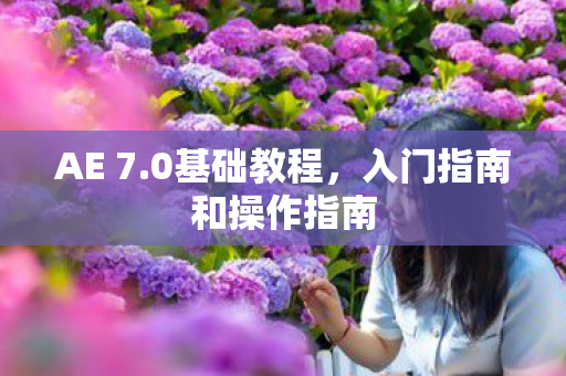 入门指南和操作指南图片