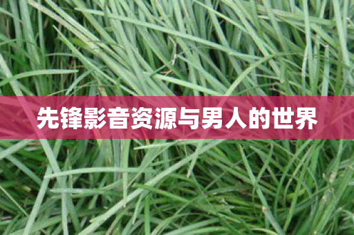 先锋影音资源与男人的世界图片
