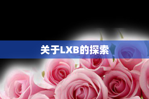 关于LXB的探索图片