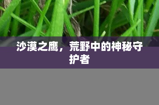 荒野中的神秘守护者图片