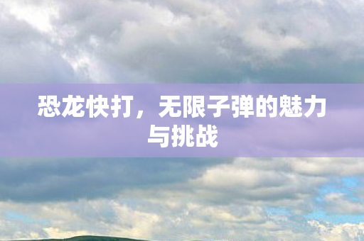 无限子弹的魅力与挑战图片