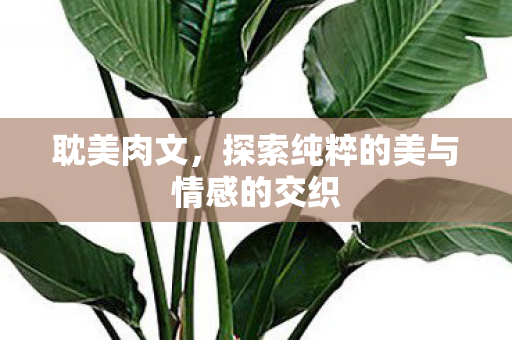 探索纯粹的美与情感的交织图片
