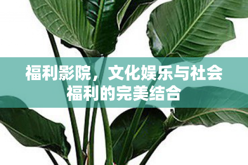 文化娱乐与社会福利的完美结合图片