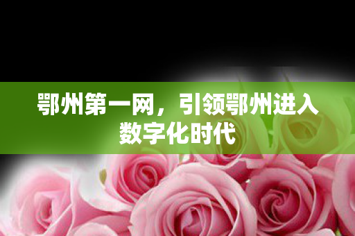 引领鄂州进入数字化时代图片
