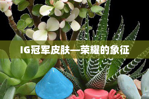 IG冠军皮肤图片
