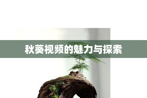 秋葵视频的魅力与探索图片