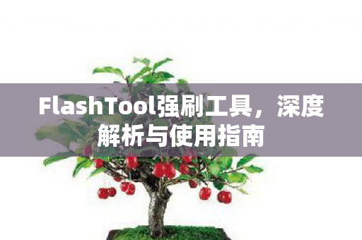 FlashTool强刷工具图片