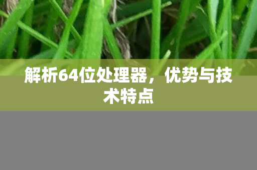 解析64位处理器图片