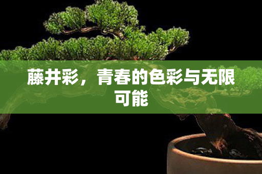 青春的色彩与无限可能图片