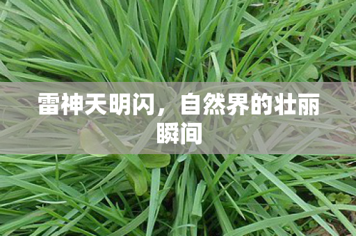 自然界的壮丽瞬间图片
