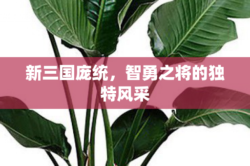 智勇之将的独特风采图片