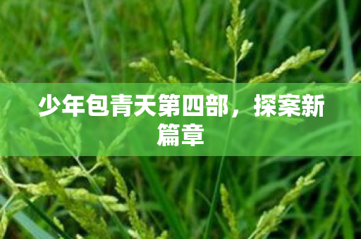 少年包青天第四部图片