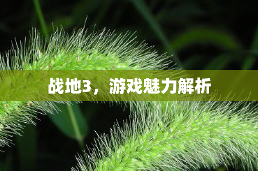 游戏魅力解析图片