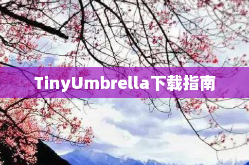 TinyUmbrella下载指南图片