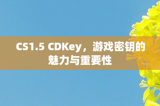 游戏密钥的魅力与重要性图片