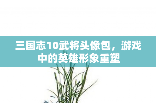 三国志10武将头像包图片