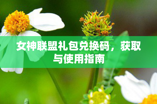 女神联盟礼包兑换码图片
