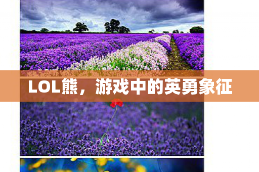 游戏中的英勇象征图片