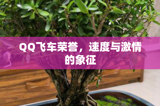 速度与激情的象征图片