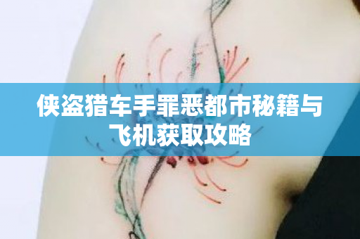侠盗猎车手罪恶都市秘籍与飞机获取攻略图片