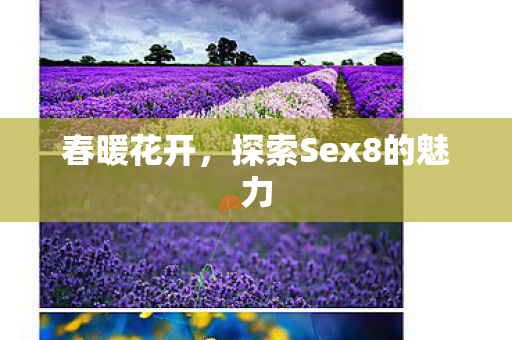 探索Sex8的魅力图片