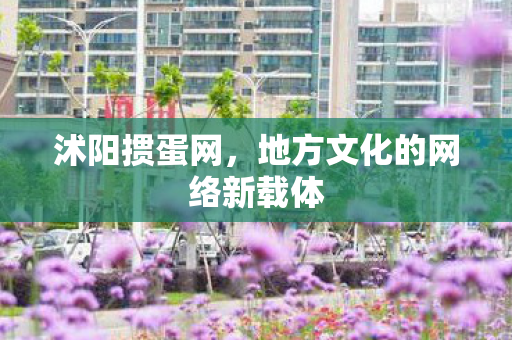 地方文化的网络新载体图片