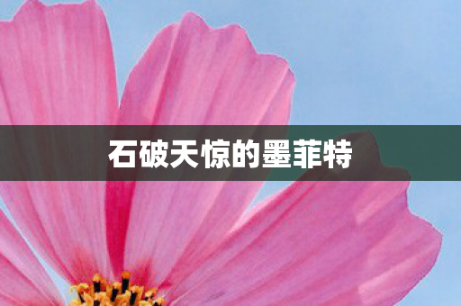 石破天惊的墨菲特图片