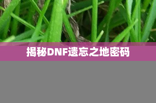 揭秘DNF遗忘之地密码图片