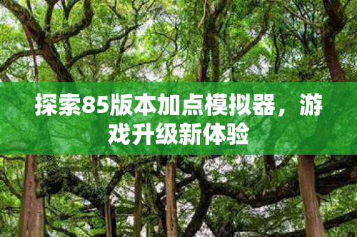 探索85版本加点模拟器图片