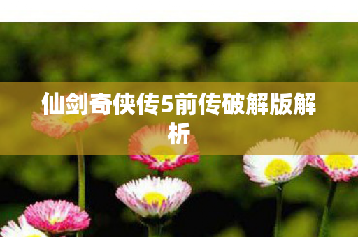 仙剑奇侠传5前传破解版解析图片