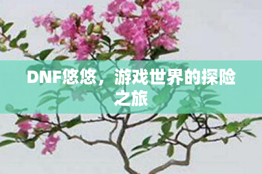 游戏世界的探险之旅图片