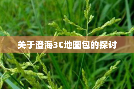 关于澄海3C地图包的探讨图片
