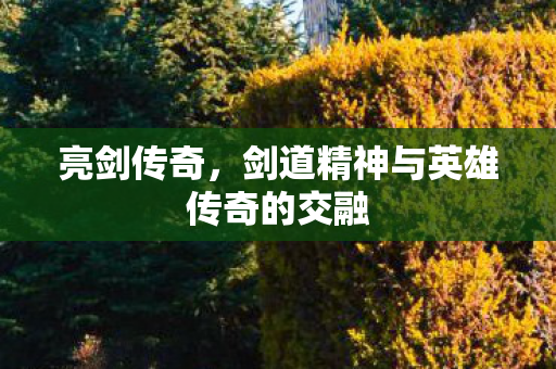 剑道精神与英雄传奇的交融图片