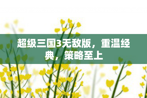 超级三国3无敌版图片