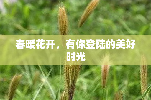 有你登陆的美好时光图片