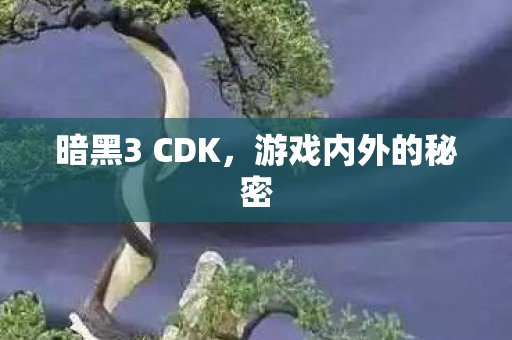 暗黑3 CDK图片