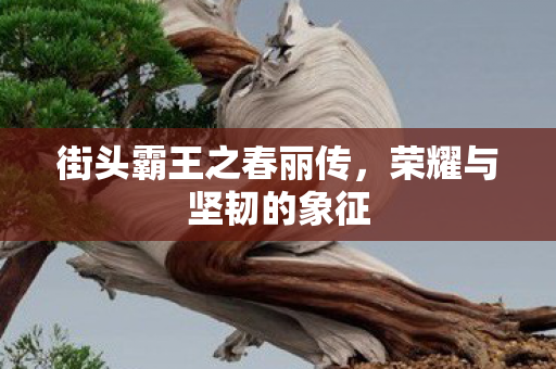 街头霸王之春丽传图片
